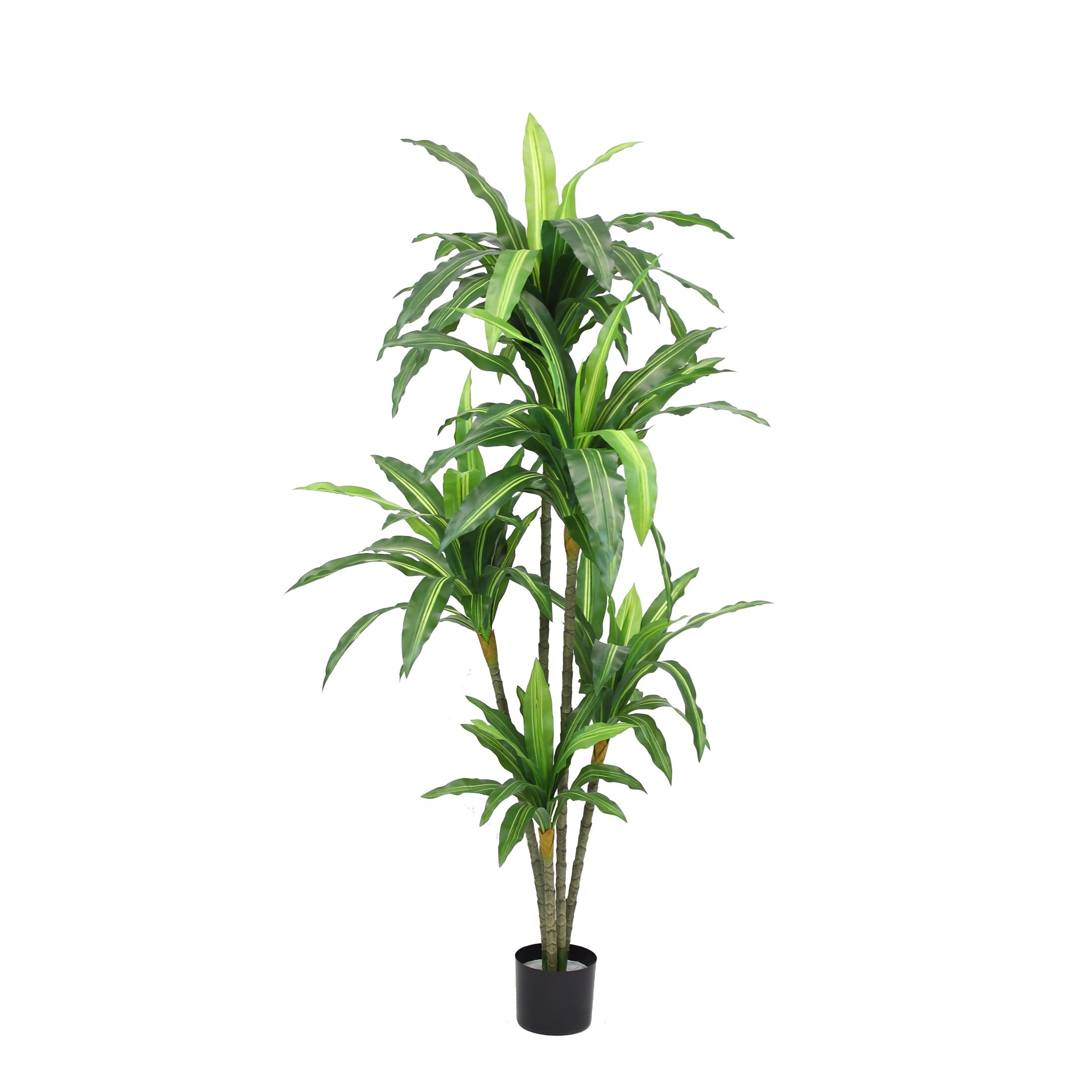 Dracena Artificial Plants Bed Bath & Beyond