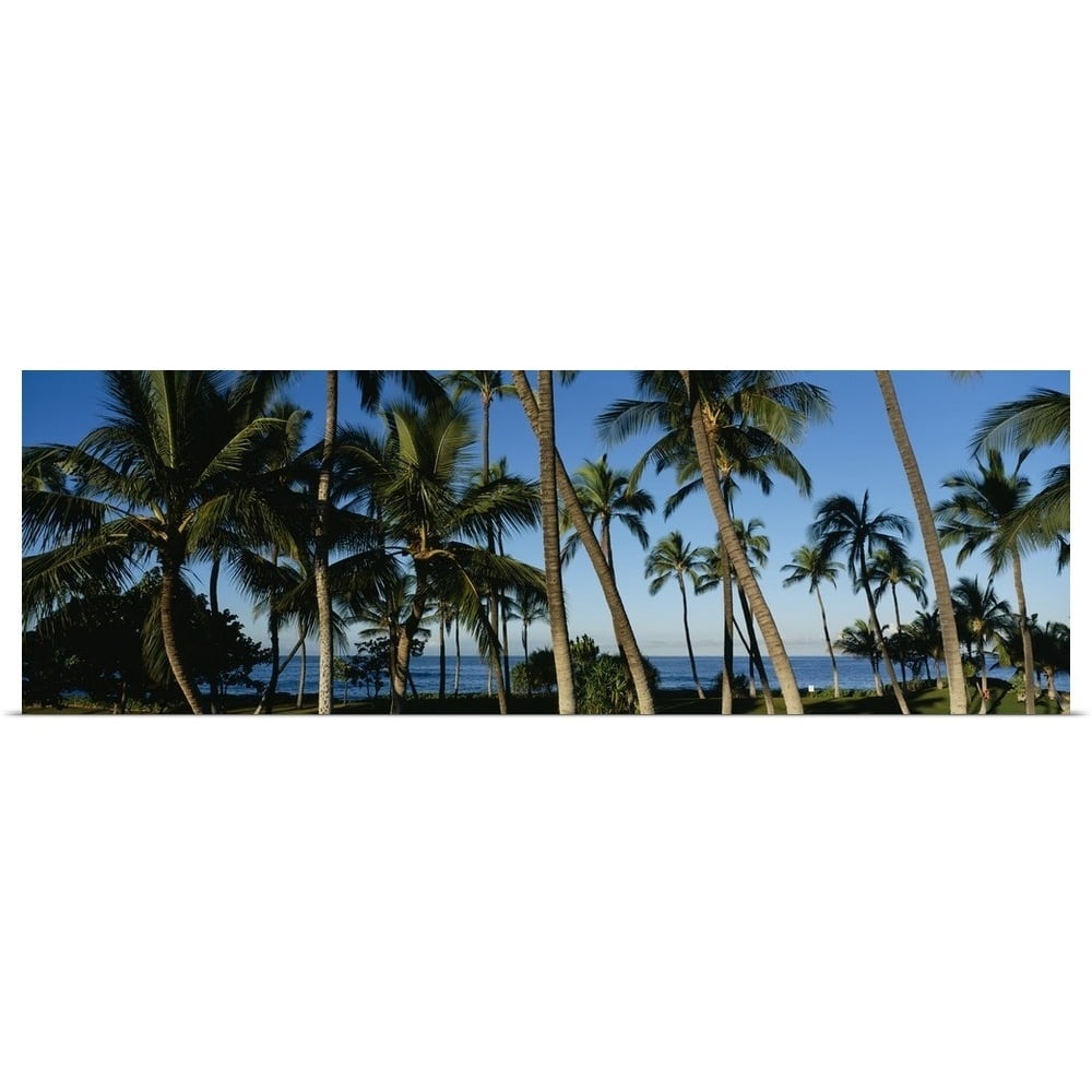 "Palm trees on the beach, Hawaii" Poster Print