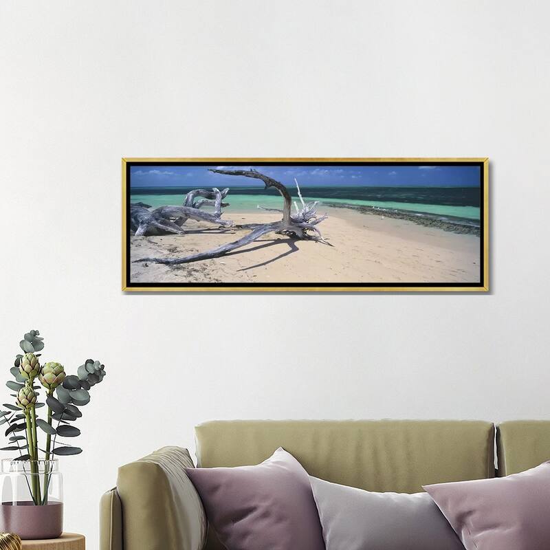 iCanvas "Driftwood on the beach, Green Island,Great Barrier Reef, Queensland, Australia" by Panoramic Images Framed Canvas Print