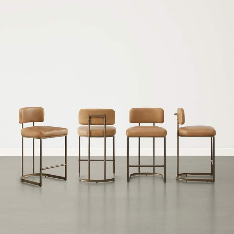 Spruce & Spring Arthur 26 inch Counter Height Bar Stool Set with Brass Frame