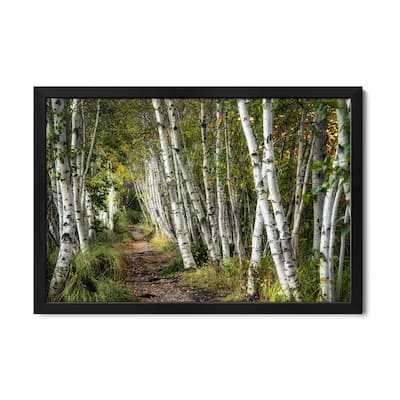 A Walk Through The Birch Trees Premium Framed Poster by Danny Head