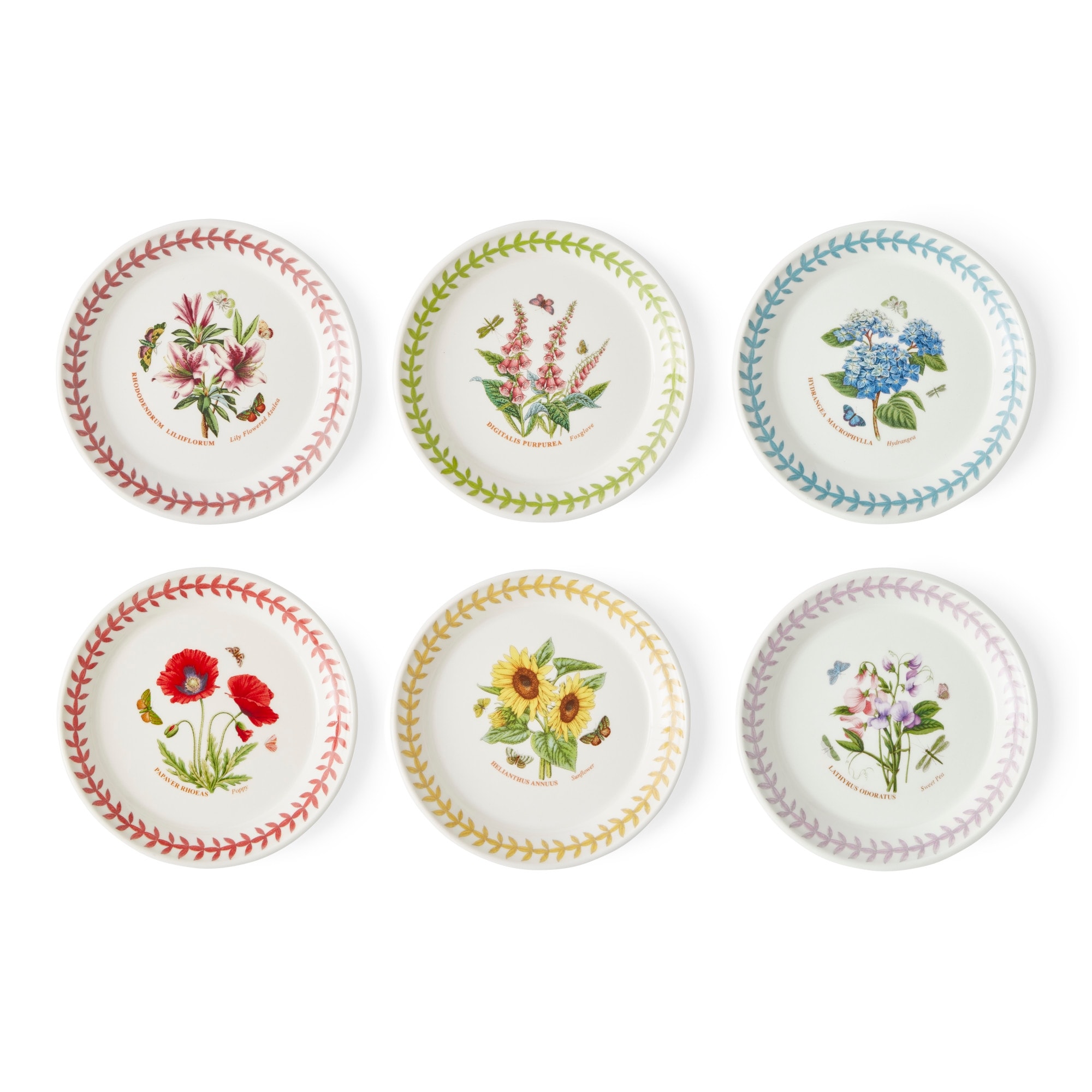 Portmeirion Botanic Garden Set of 6 Meadow Bread Plates - 6 in