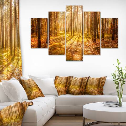 Designart 'Bright Sunlight in Yellow Fall Forest' Modern Forest Canvas Art