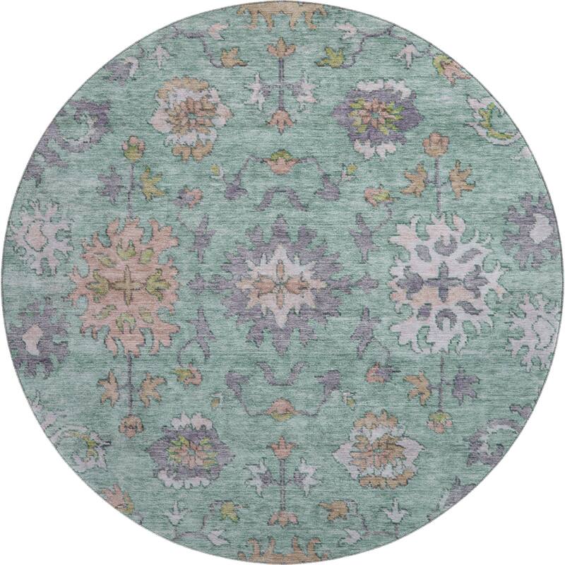 Premium Washable Super Soft Traditional Caply Mayfield Rug