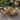 Christopher Knight Home - 7-Piece Outdoor Dining Set Solid Acacia Wood with Extendable Table, Rope-Woven Cushioned Chairs