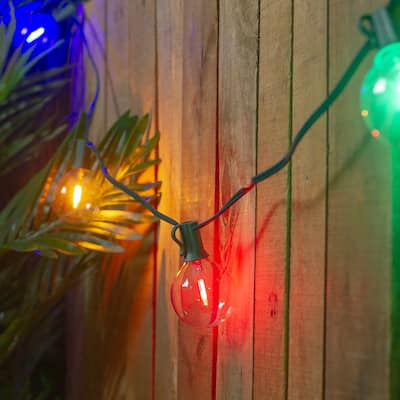 LED G50 Globe Christmas String Lights - Multi Color - 10" Green Wire - 10ct