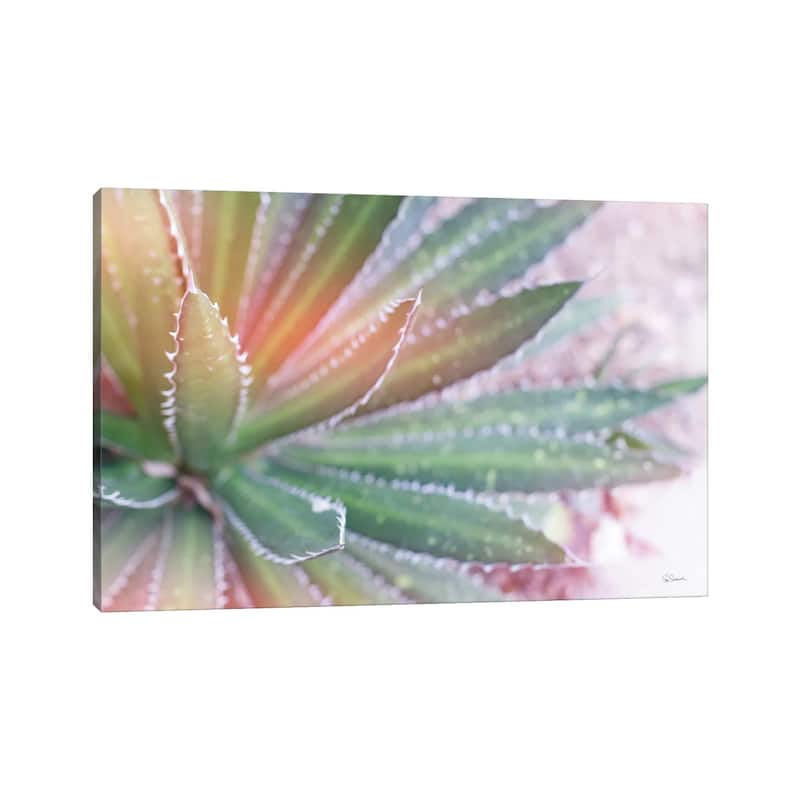 iCanvas "Dream Desert I" by Sue Schlabach Canvas Print