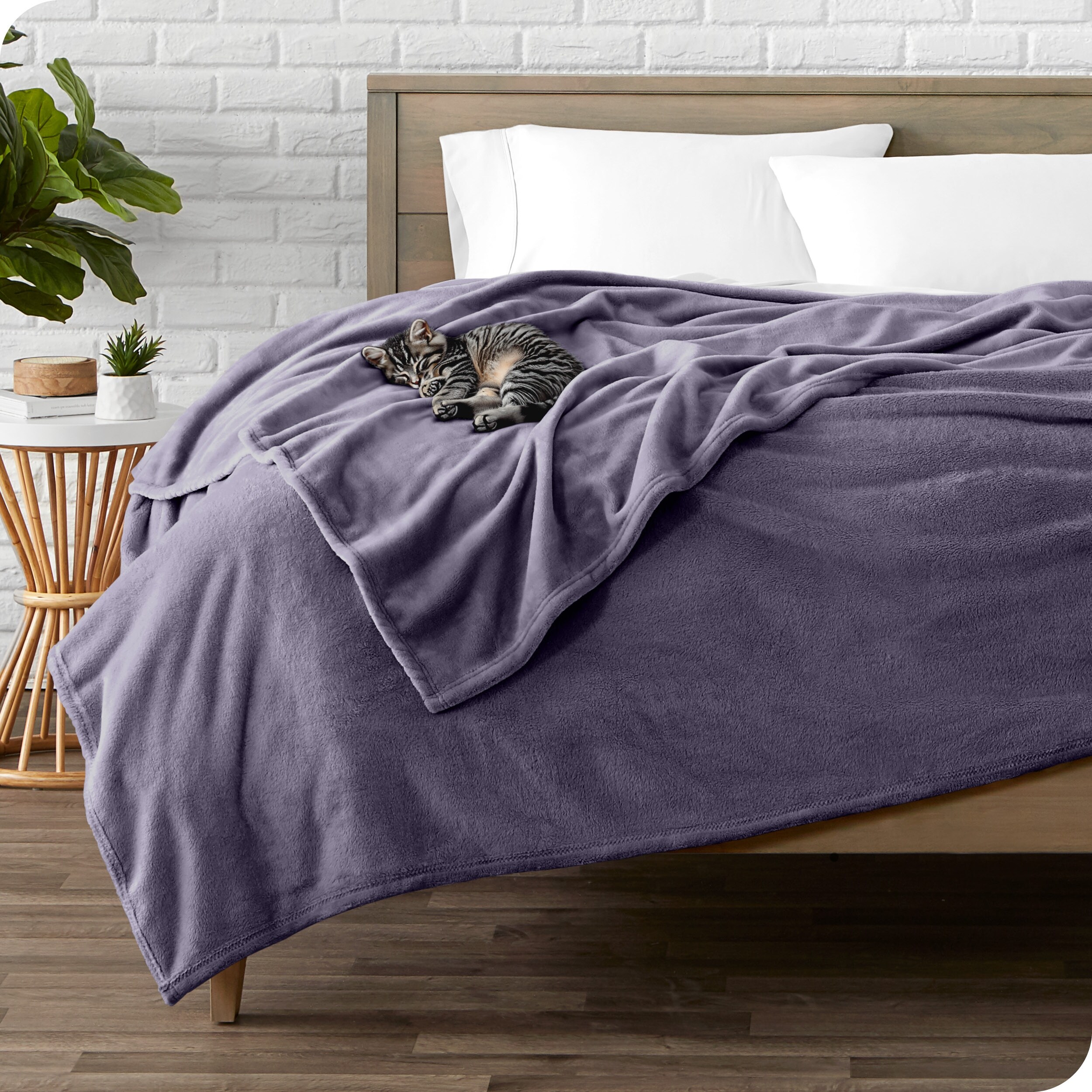 Microplush bed blanket 2025