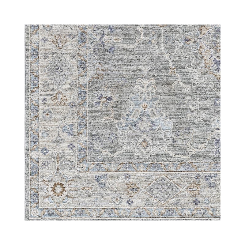 Hunza Updated Traditional Medallion Area Rug