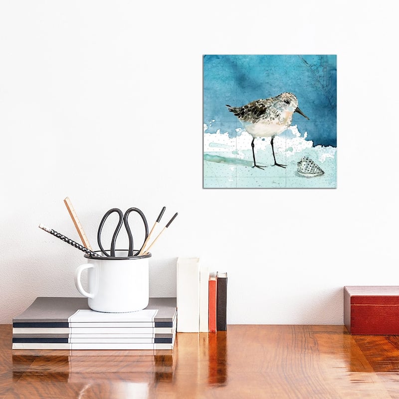 iCanvas "Bay Shore Sandpiper I" by Carol Robinson Canvas Print - 12x12x0.75