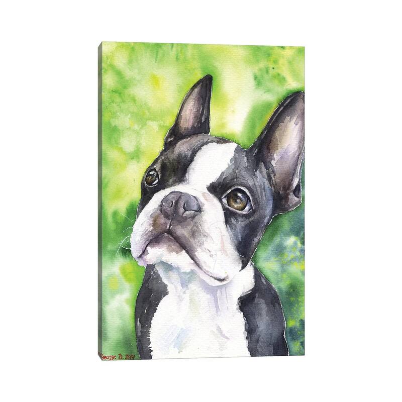 iCanvas "Boston Terrier Portrait" by George Dyachenko Canvas Print