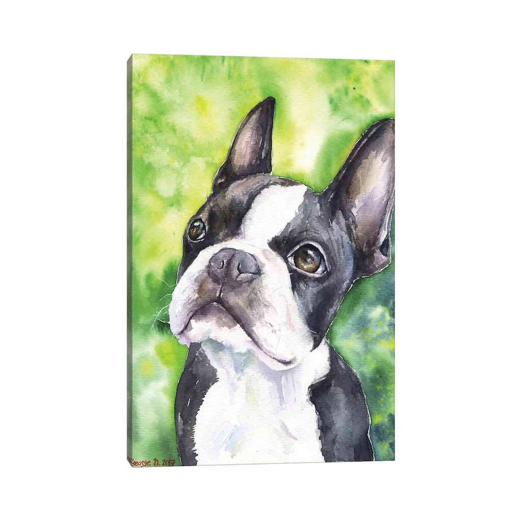 iCanvas "Boston Terrier Portrait" by George Dyachenko Canvas Print