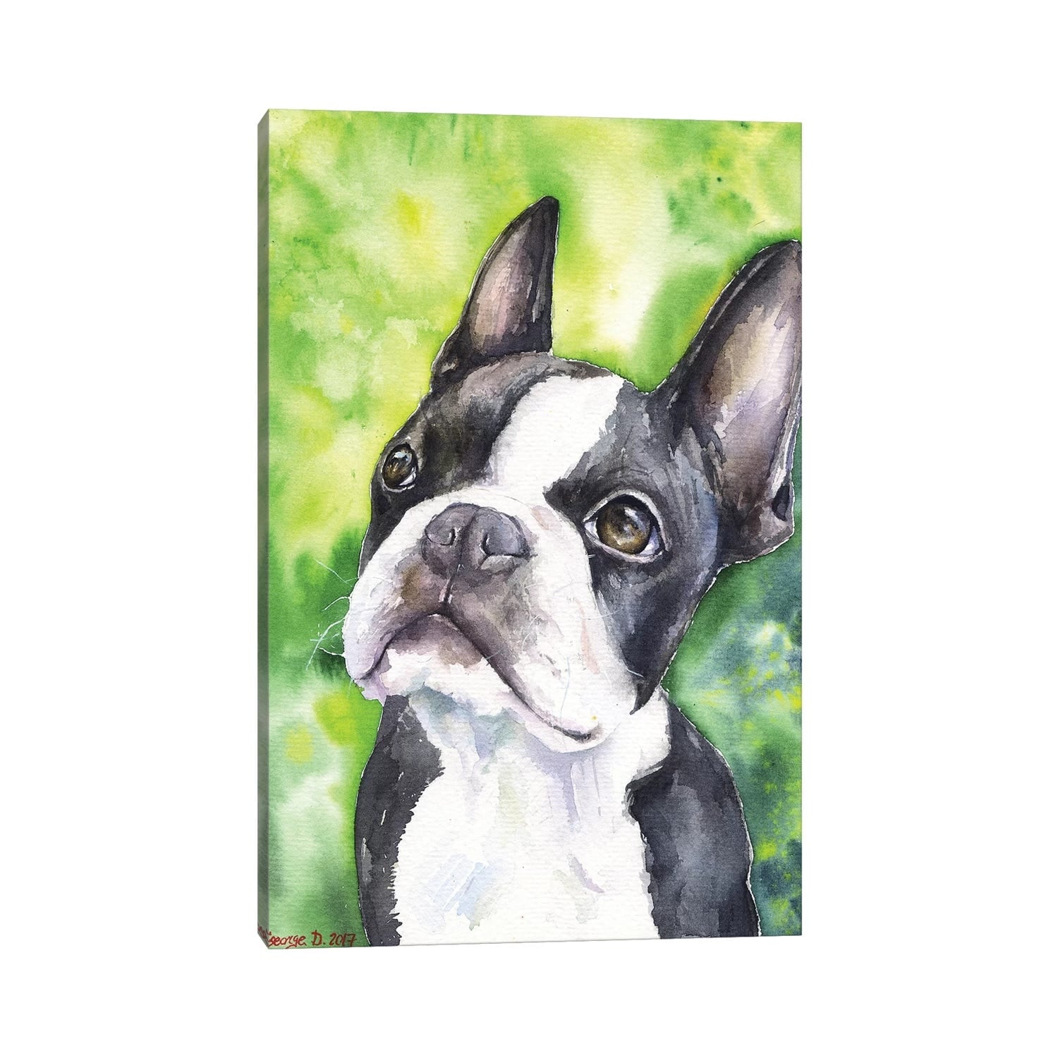 iCanvas "Boston Terrier Portrait" by George Dyachenko Canvas Print