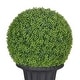 preview thumbnail 5 of 3, Puleo International 38" Single Ball Topiary Boxwood Artificial Tree