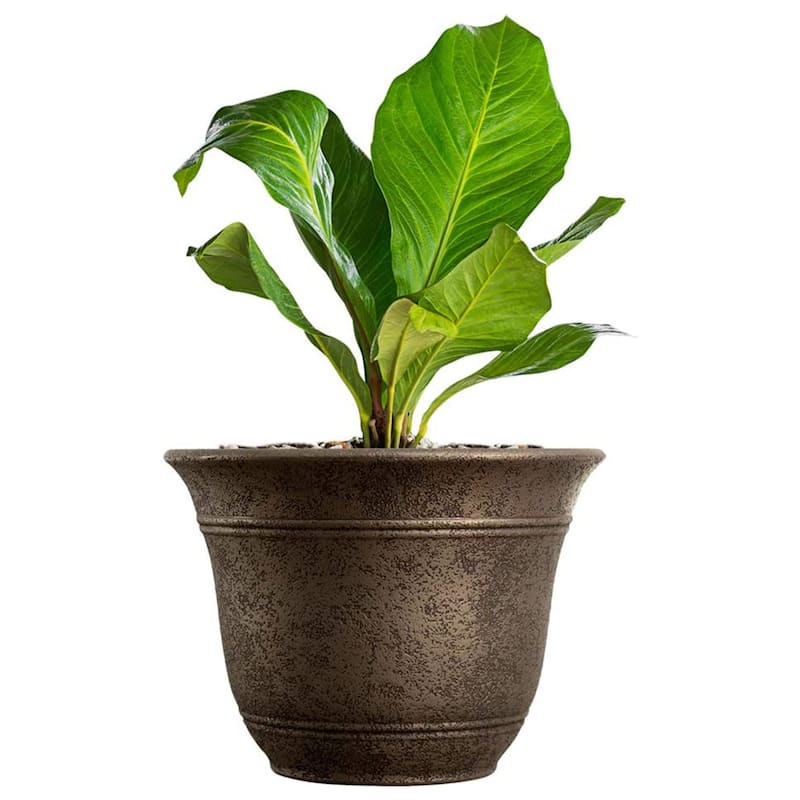 HC Companies 13-Inch Wide Sierra Planter Round Plastic Planter, Nordic Bronze - 13"