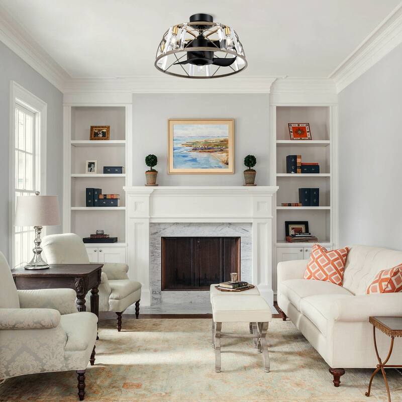 23" Modern Black DC Motor 5 Blades Caged Ceiling Fan with Light and Remote