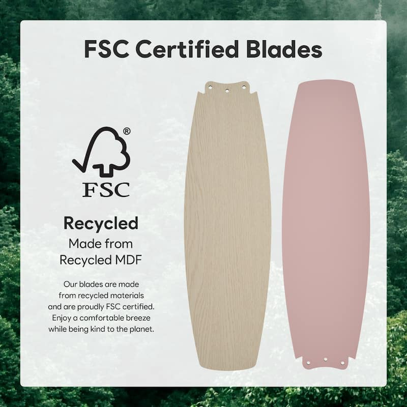 5 - Blade Low Profile Flush Mount Modern Ceiling Fan with LED Light and Remote