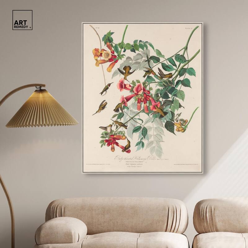 Trochilus Colubris Canvas by Art Remedy