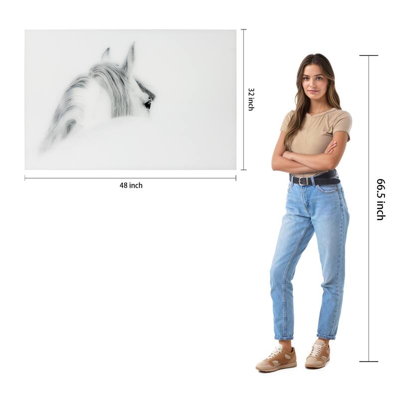 "Blanco Mare Horse" Frameless Free Floating Tempered Glass Panel Graphic Wall Art