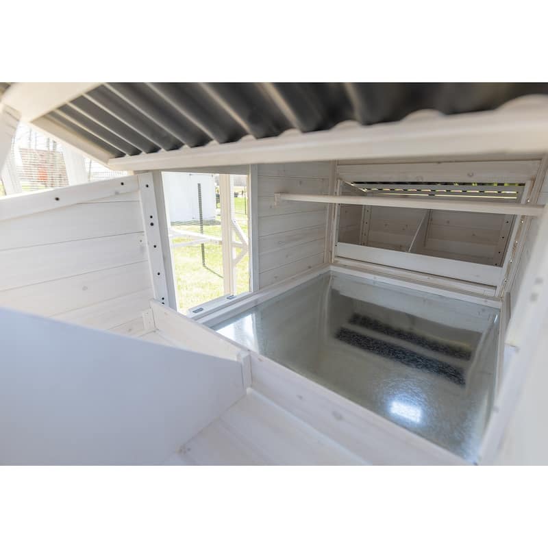 Zylina Modern Walk-in Chicken Coop