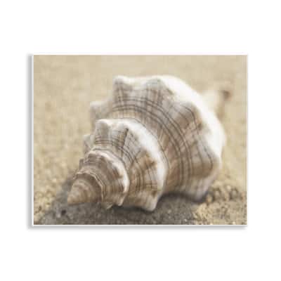 Stupell Neutral Tone Conch Shell Wall Plaque Art Design By Dora Rotondella