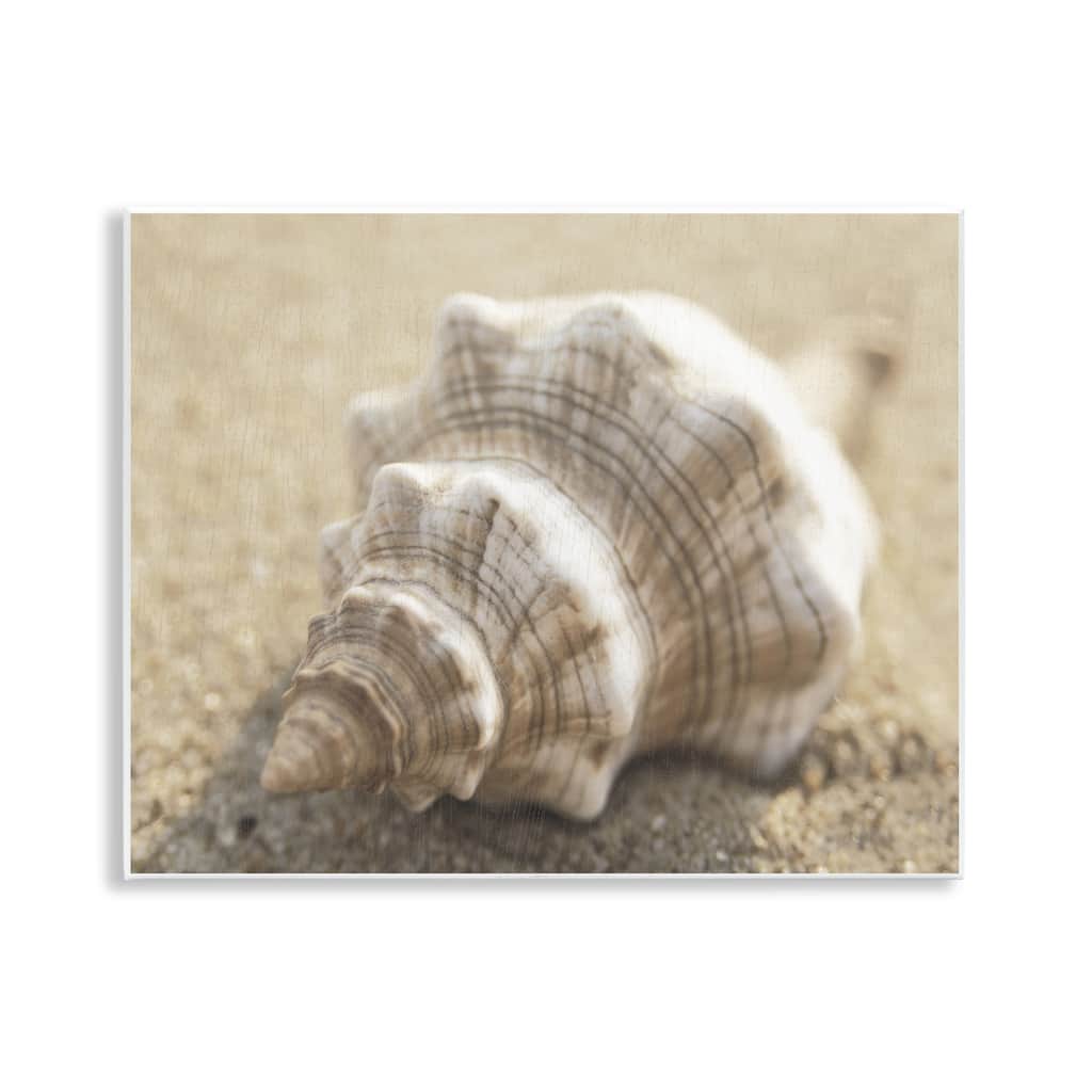 Stupell Neutral Tone Conch Shell Wall Plaque Art Design By Dora Rotondella
