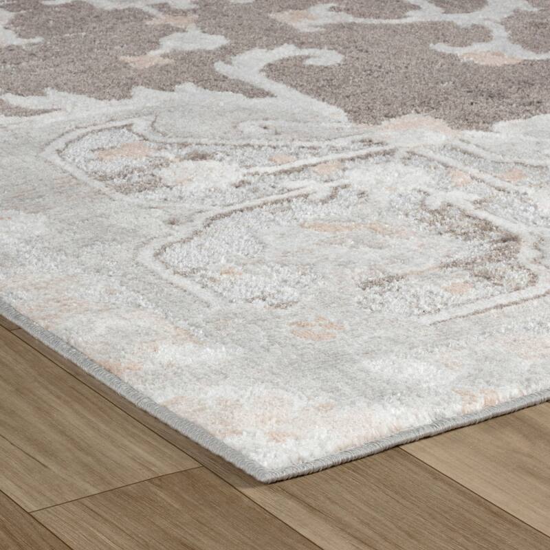 Bicec Distressed Southwestern Stain Resistant Woven Low Pile Area Rug By HomeRoots