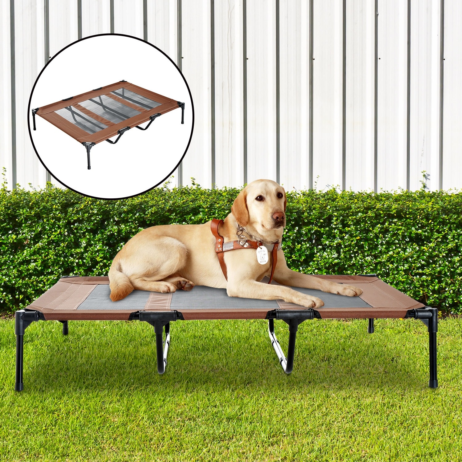 Mesh dog bed cot online