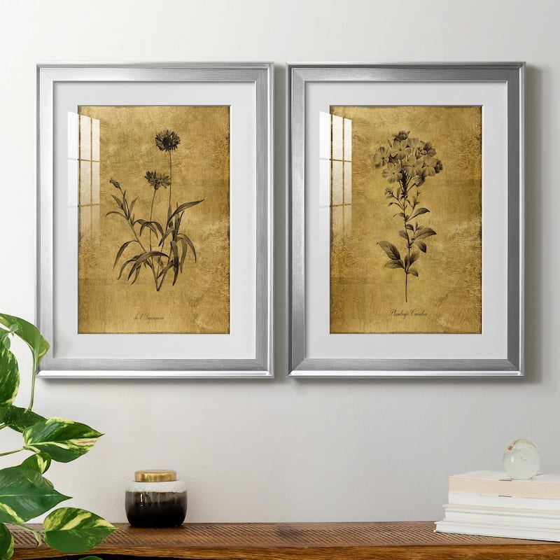 Gold Sketch Botanical I Premium Framed Print - Ready to Hang
