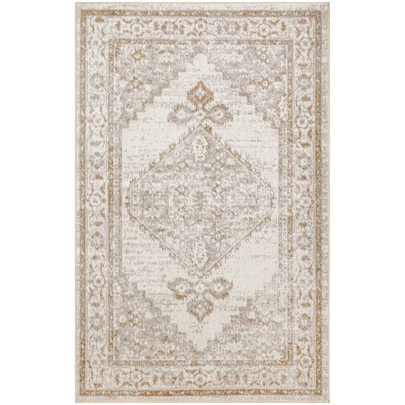 Nourison Astra Machine Washable Distressed Area Rug