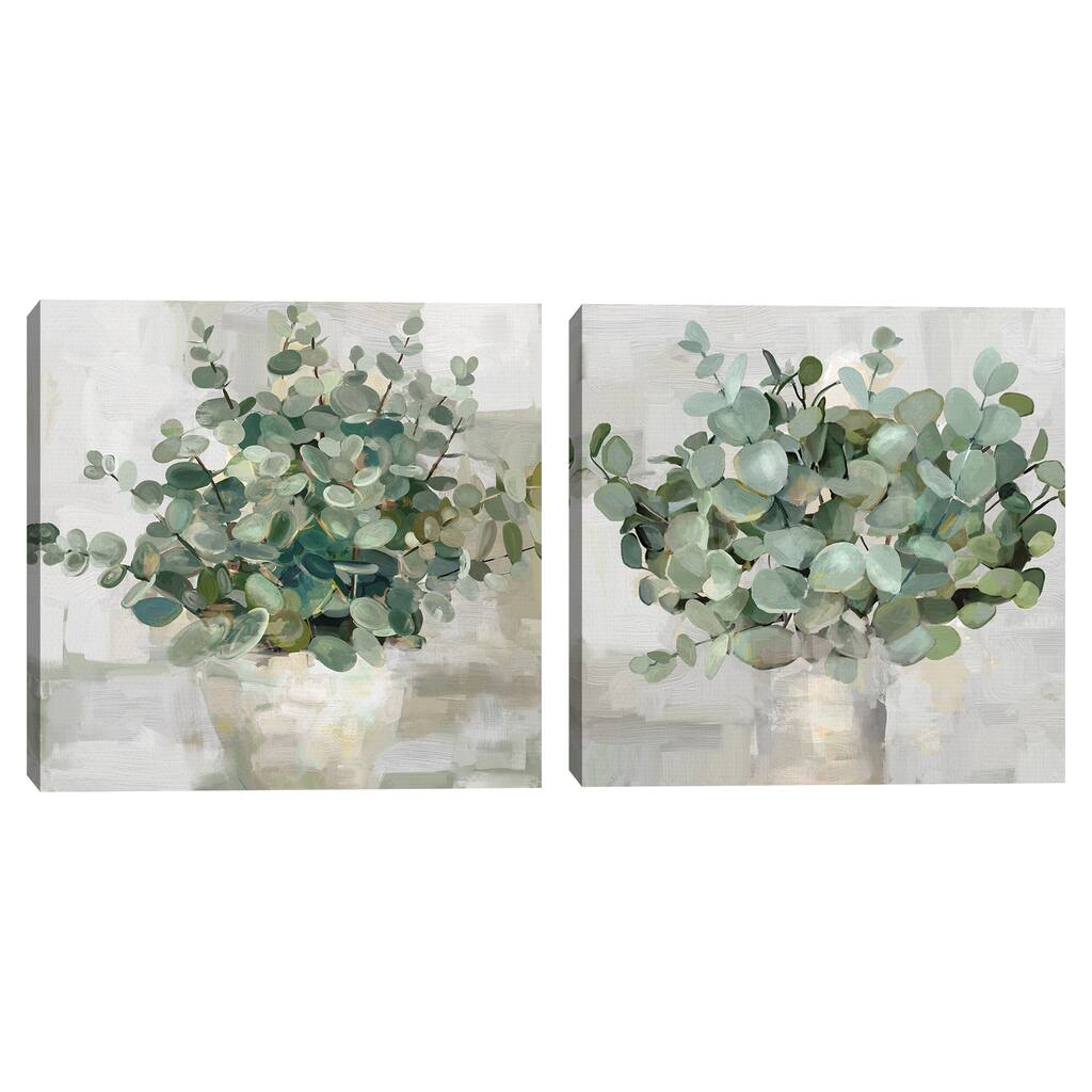 Eucalyptus Pot I, Eucalyptus Pots II by Studio Arts Canvas Art Prints