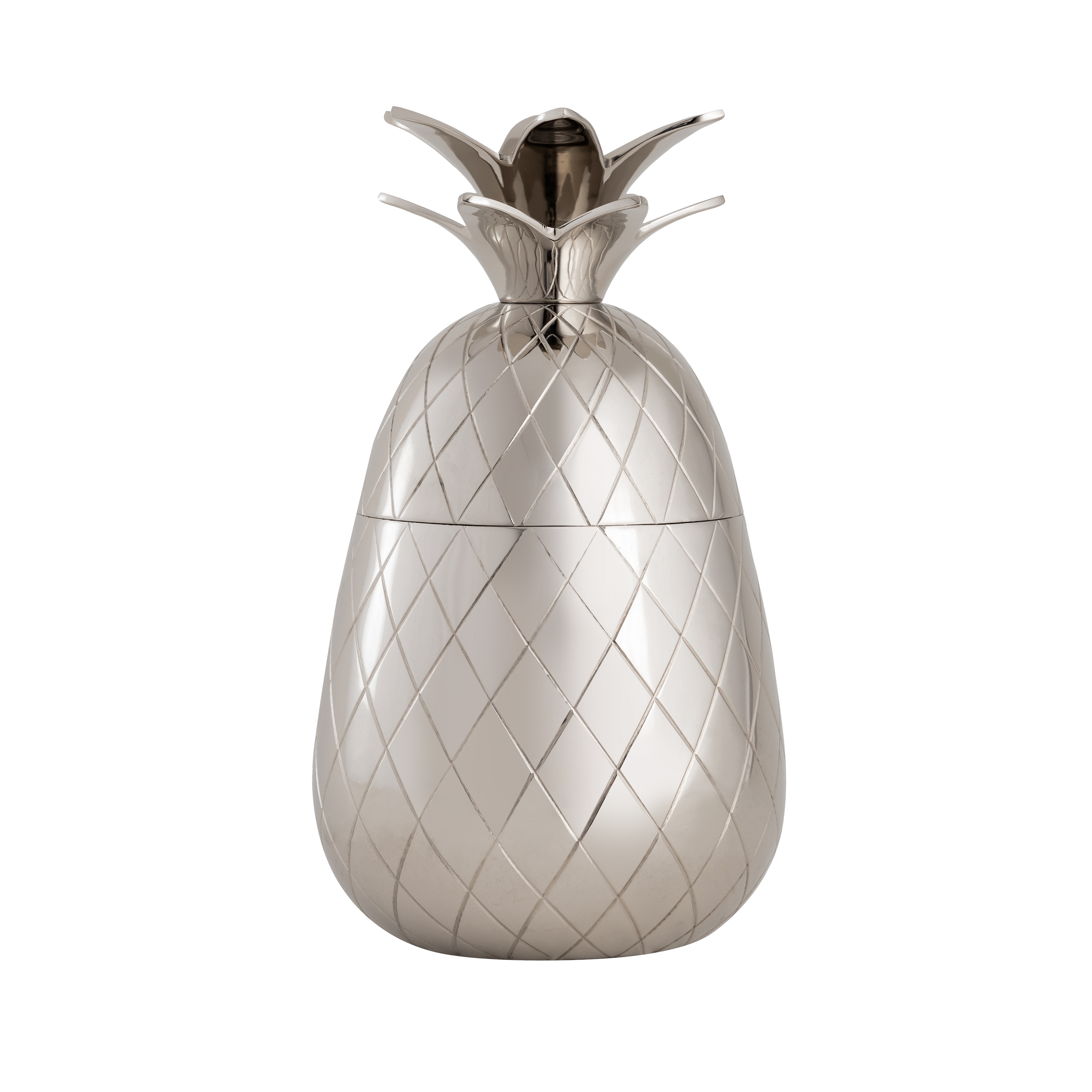 Atlas Little Island Pineapple Silver Storage Box - 10 inch W