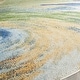 preview thumbnail 23 of 39, SAFAVIEH Evoke Tambra Abstract Swirl Rug