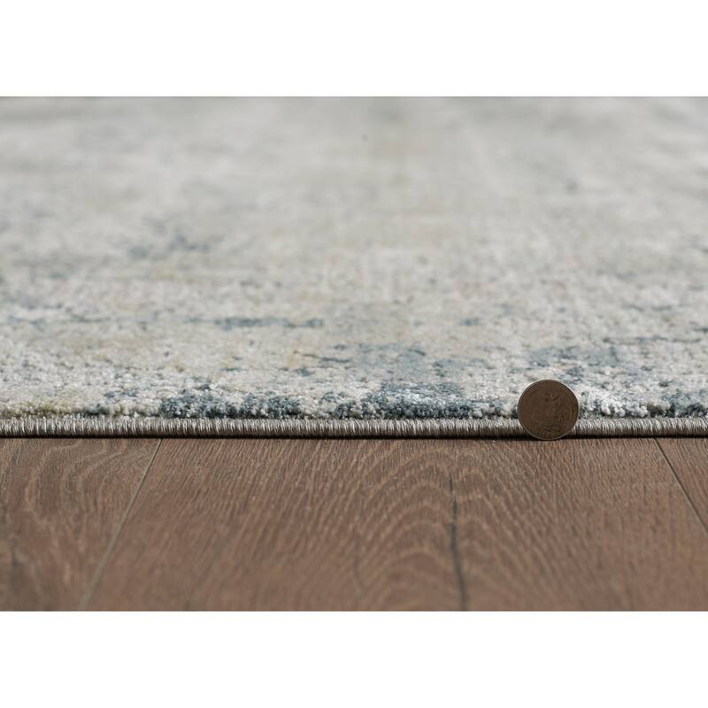Domani Saige Abstract Medallion Area Rug