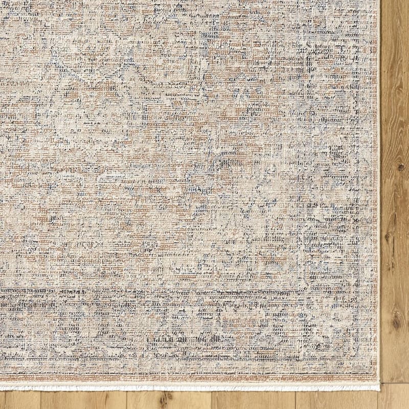Galey Alix x Livabliss Maria Elena III Vintage Medallion Area Rug