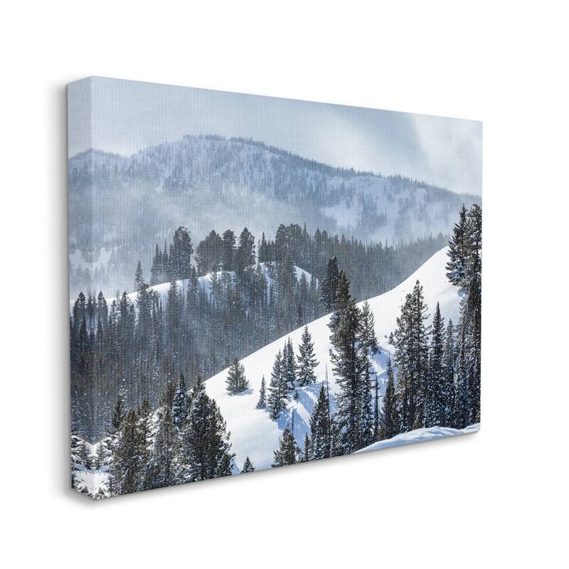 Stupell Quiet Snowy Mountain Slopes Scattered Fir Trees Canvas Wall Art, Design by Steve Smith