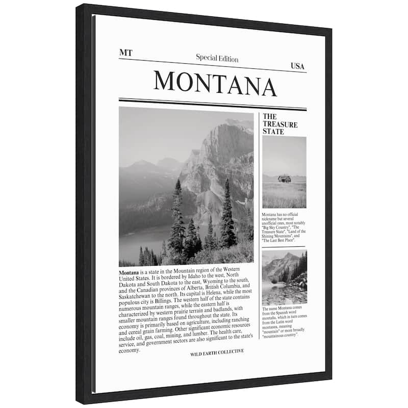 Kate and Laurel Montana Article by Megan Ryan Framed Canvas Wall Art Print - 18x24