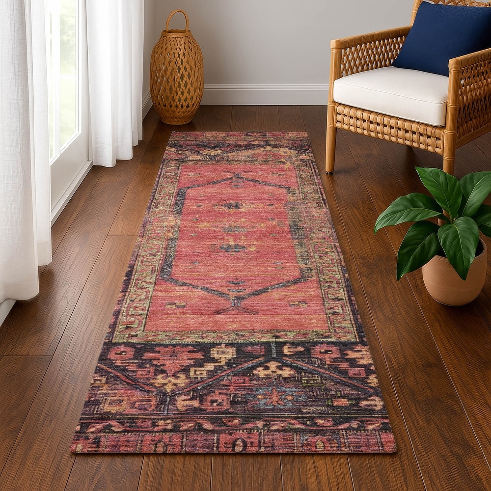 Premium Washable Super Soft Traditional Global Mayfield Rug