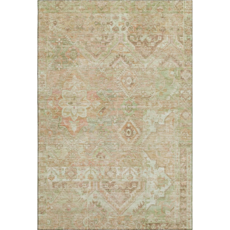 Premium Washable Super Soft Boho Global Mayfield Rug