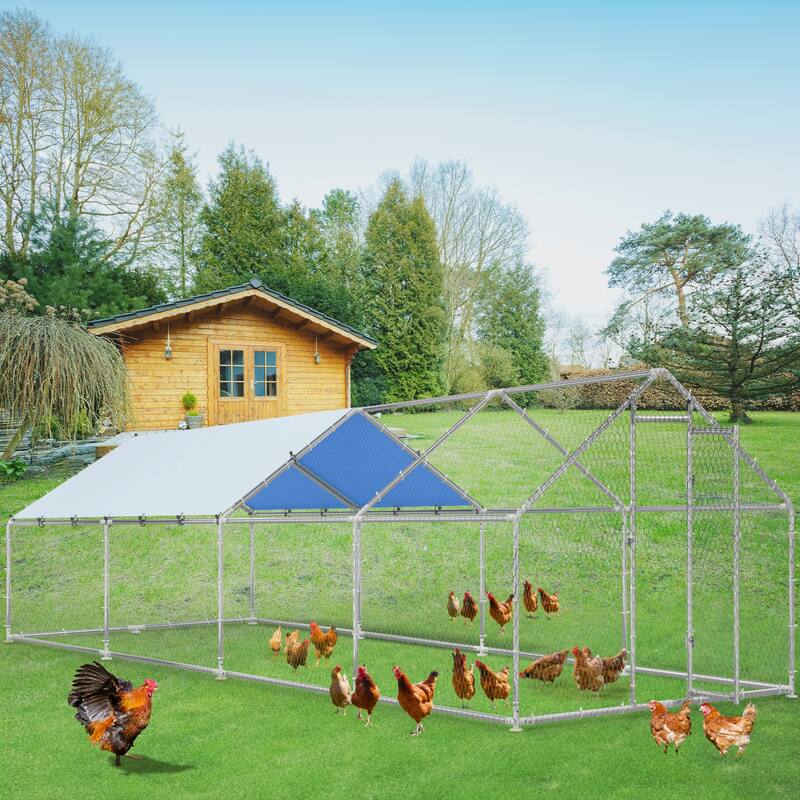 Moasis Outdoor Steel Chicken Run with Lid - 26.24 FT