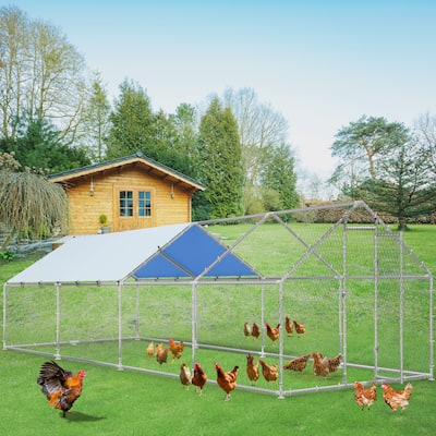 Moasis Outdoor Steel Chicken Run with Lid
