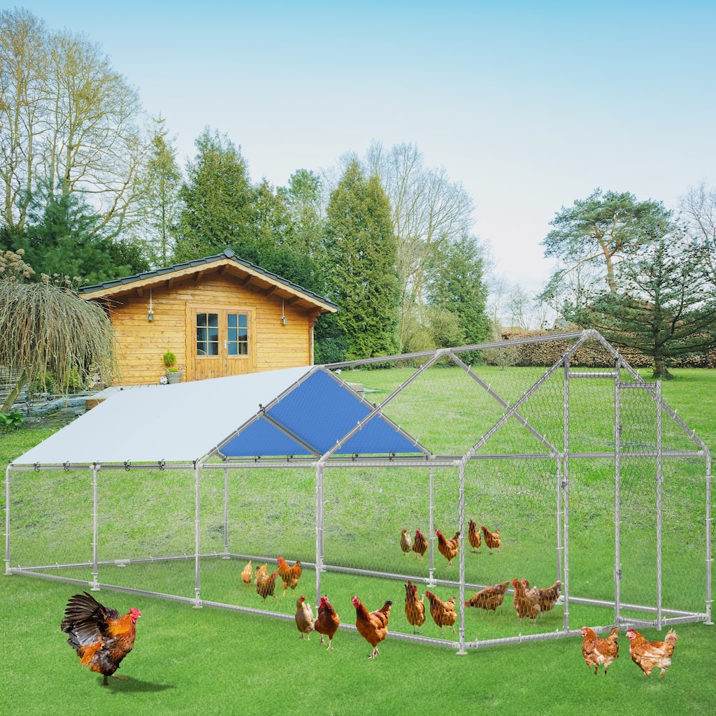 Moasis Outdoor Steel Chicken Run with Lid