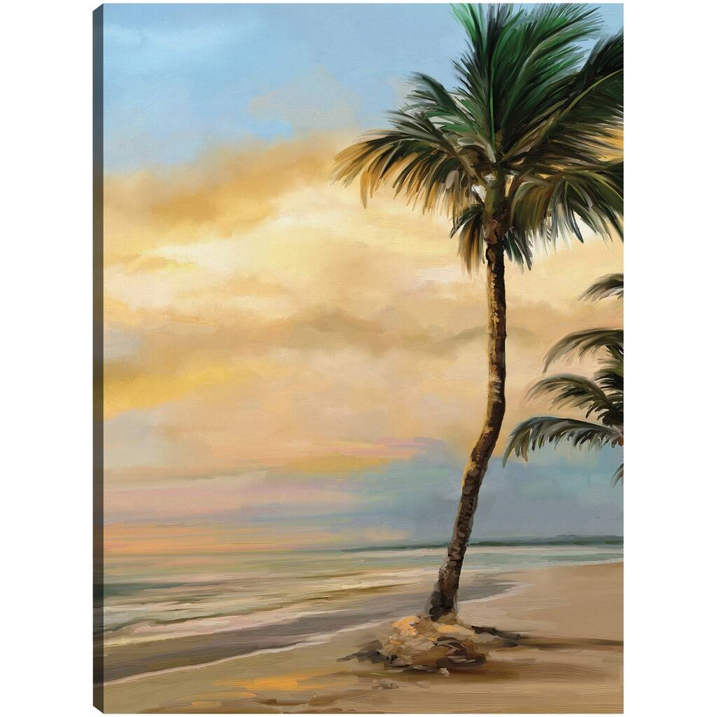 Tropical Dawn Crop By Studio Arts Canvas Art Print