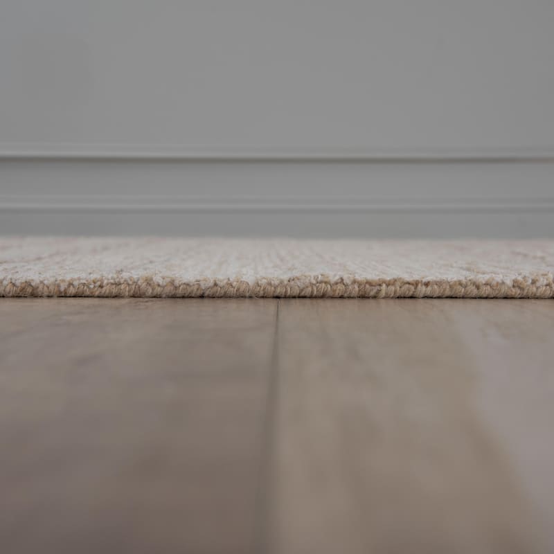 Alora Decor Maude Tone on Tone Hand-Tufted Area Rug