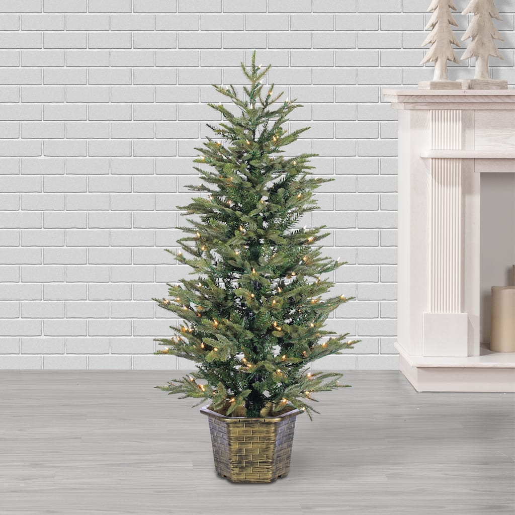 4.5 ft. Pre Lit Clear UL Potted Natural Cut Eastern Pine