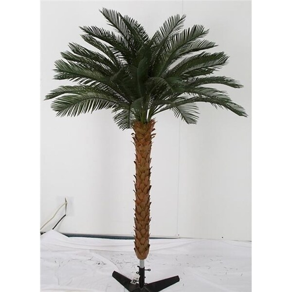 Autograph Foliages A-174600 6.5 ft. Cycas Palm Tree by 4 Green