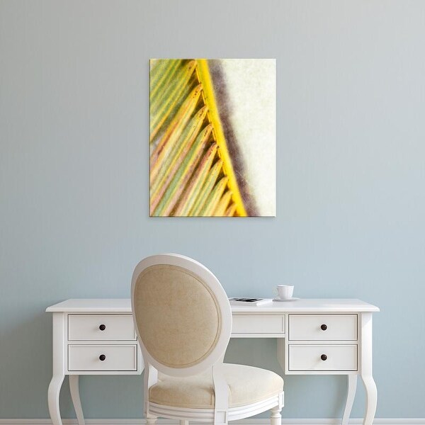 Easy Art Prints Emily Robinson's 'Frond Study I' Premium Canvas Art