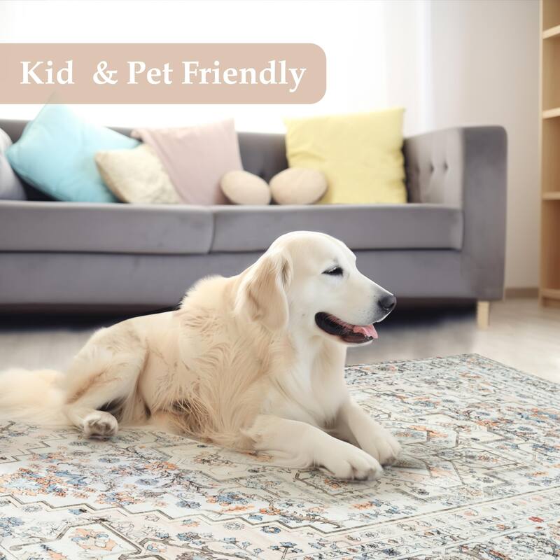 DriftAway Area Rug Washable Rugs for Living Room Non Slip Rubber Backing Low Pile Non Shedding Boho Foldable Vintage Rugs