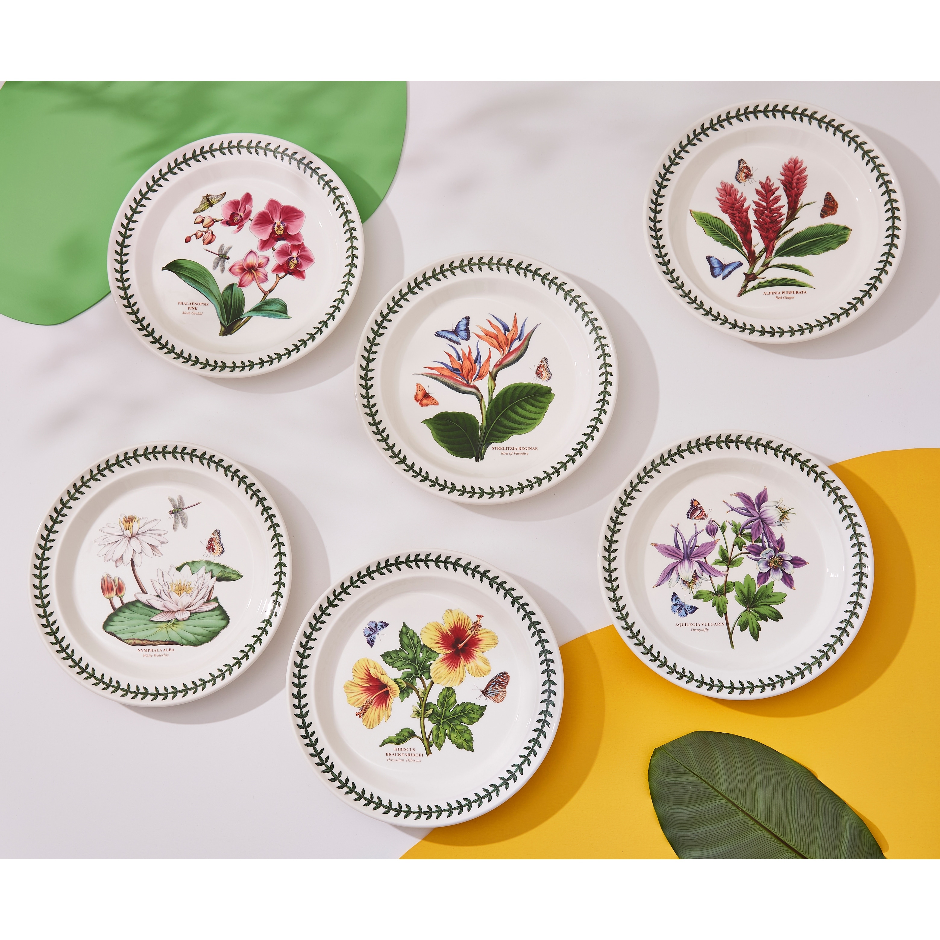 Garden dinner set outlet