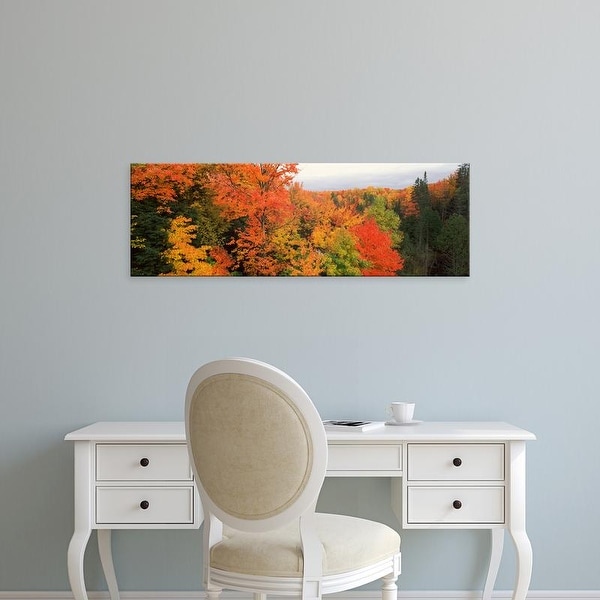 Easy Art Prints Panoramic Image 'Autumnal trees, Hiawatha National Forest, Upper Peninsula, Michigan' Canvas Art